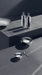 Georg Jensen Bernadotte Ske